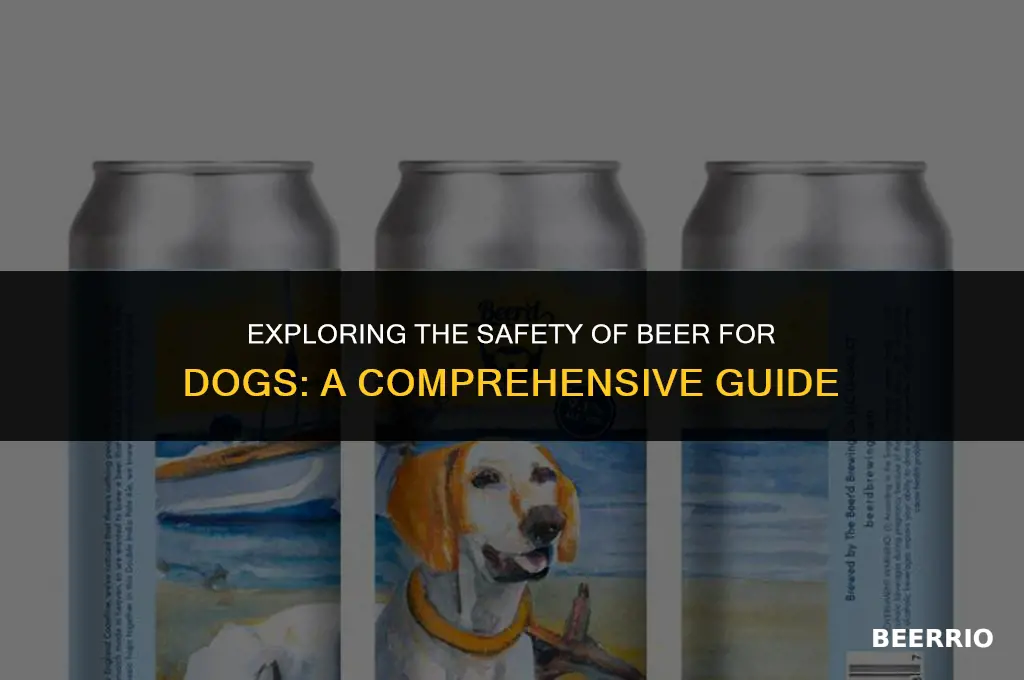 is beer good for dogs