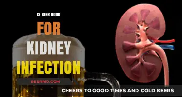 Exploring the Effects of Beer on Kidney Health: A Comprehensive Guide