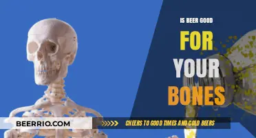 Exploring the Surprising Benefits of Beer on Bone Health