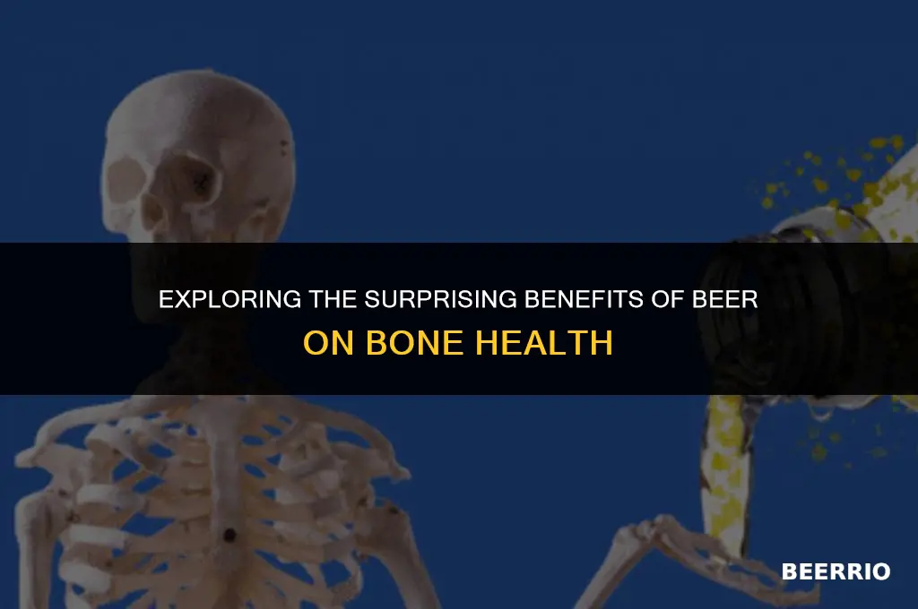 is beer good for your bones