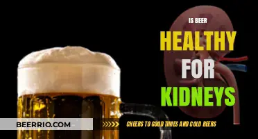 Exploring the Effects of Beer on Kidney Health: A Balanced View