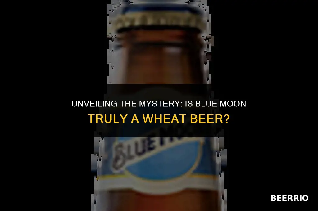 is blue moon a wheat beer