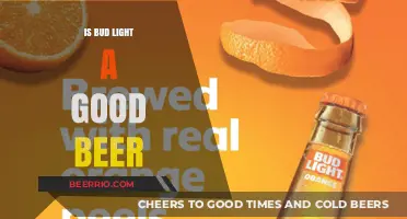 Exploring the Taste and Reputation of Bud Light: A Beer Lover's Perspective