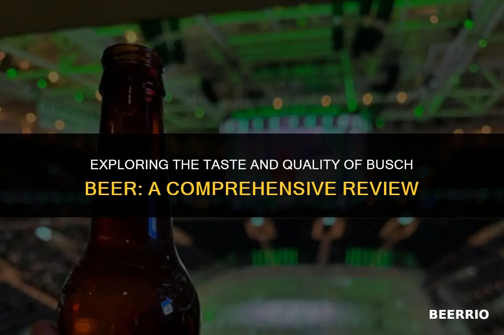is busch beer good