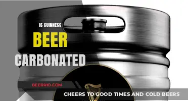 The Fizzy Truth: Is Guinness Beer Carbonated?