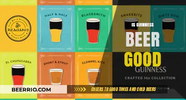 Exploring the Rich Flavor Profile of Guinness Beer: A Connoisseur's Delight