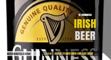 Exploring the Roots: Is Guinness Truly an Irish Beer?