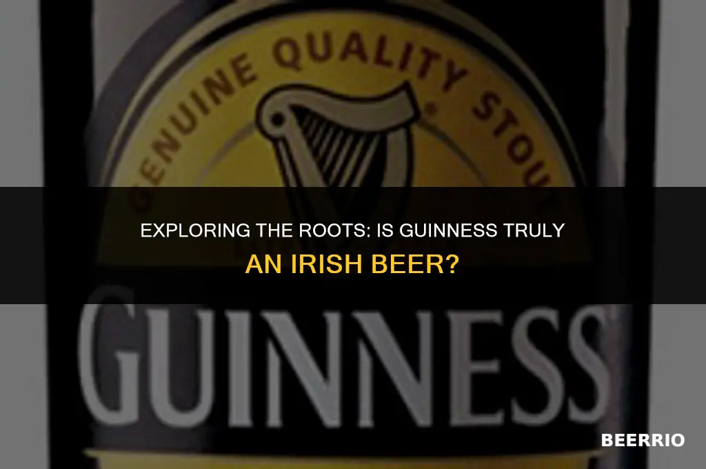 is guinness irish beer