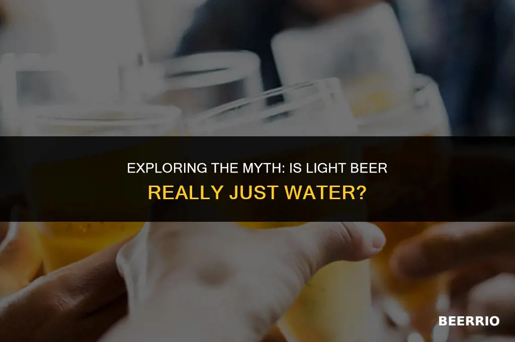 is light beer water