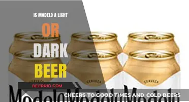 Exploring the Flavor Spectrum: Modelo - A Light or Dark Beer?