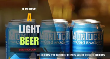 Exploring the Flavor Profile of Montucky Light Beer