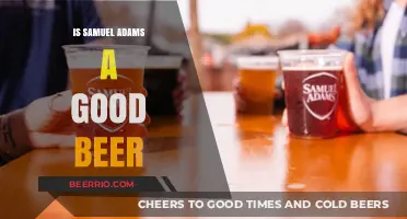 Exploring the Taste and Reputation of Samuel Adams Beer