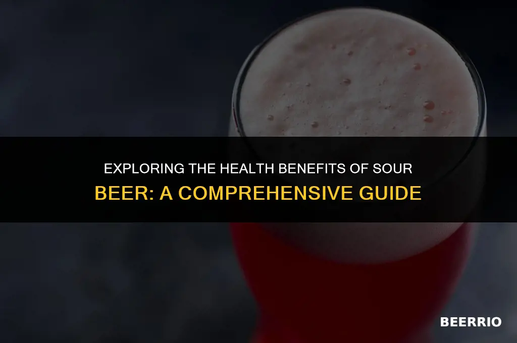 is sour beer good for you