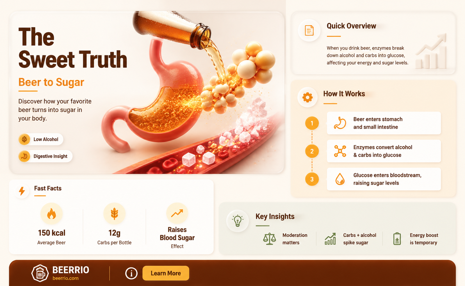 does beer turn to sugar in the body
