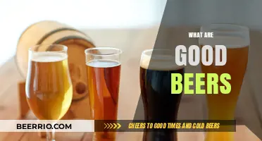 Exploring the World of Craft Beers: A Connoisseur's Guide
