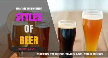 Exploring the Rich Diversity of Beer Styles: A Comprehensive Guide