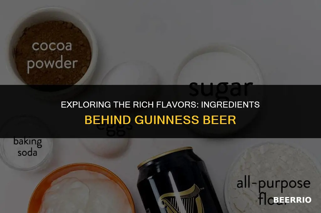 what are the ingredients in guinness beer