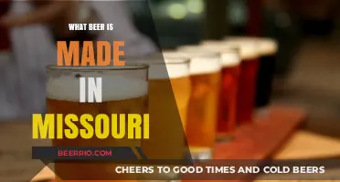 Exploring Missouri's Craft Beer Scene: A Local's Guide