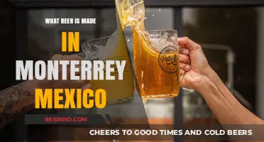 Exploring the Rich Flavors of Monterrey's Craft Beer Scene