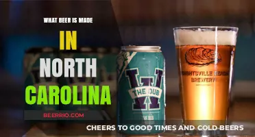 Exploring the Craft: North Carolina's Finest Beer Brews