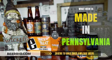 Exploring Pennsylvania's Craft Beer Scene: A Local's Guide