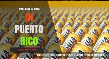 Exploring the Rich Flavors of Puerto Rican Craft Beer