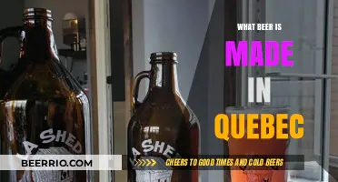 Exploring the Rich Flavors of Quebec's Craft Beer Scene