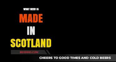 Exploring the Rich Flavors of Scotland's Craft Beer Scene