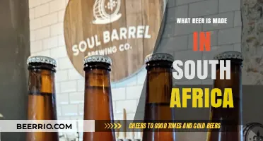 Exploring South Africa's Craft Beer Scene: A Guide to Local Brews