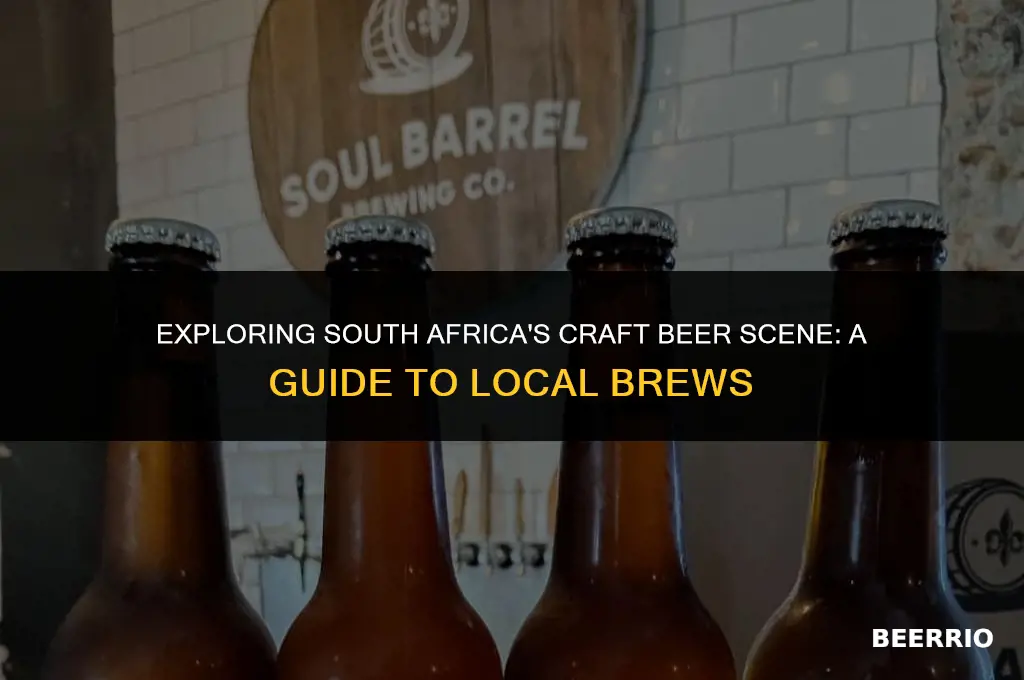 what beer is made in south africa