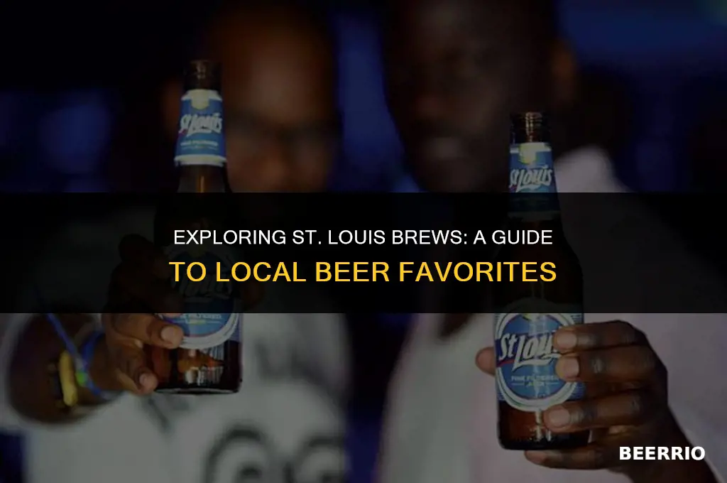 what beer is made in st louis