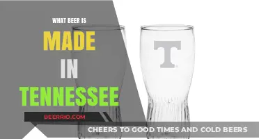 Exploring the Rich Flavors of Tennessee's Craft Beer Scene