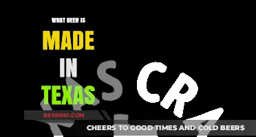 Lone Star Brews: Exploring Texas' Craft Beer Scene