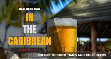 Exploring Caribbean Brews: A Guide to the Region's Best Beers