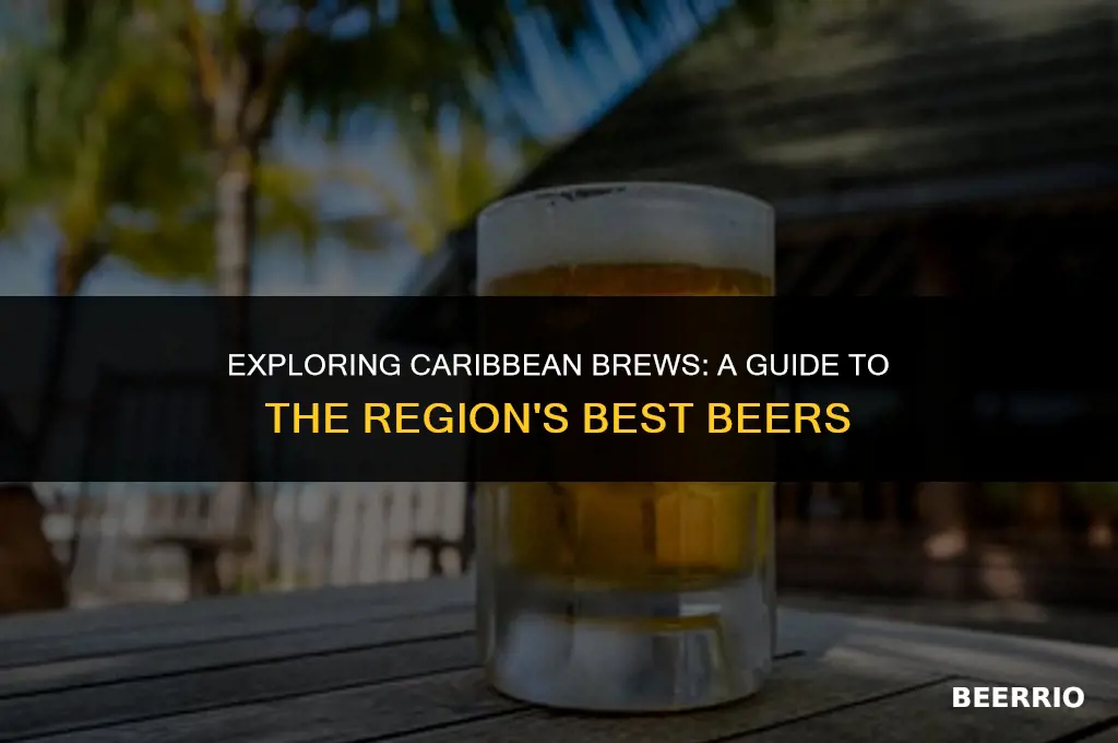 what beer is made in the caribbean