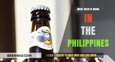 Exploring the Rich Flavors of Philippine-Brewed Beers