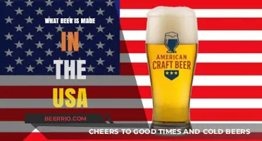 Exploring the Rich Flavors of American Craft Beer