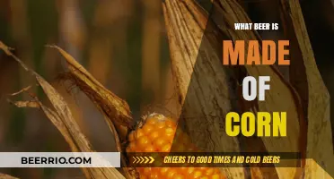Exploring the Unique Taste of Corn-Based Beers: A Guide