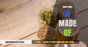 Exploring the Ingredients: What Goes Into Your Favorite Beer?