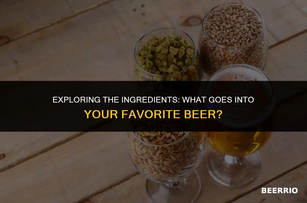 what beer is made of