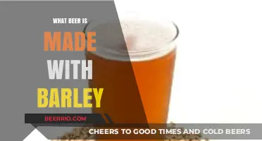 From Grain to Glass: The Barley Beer Connection