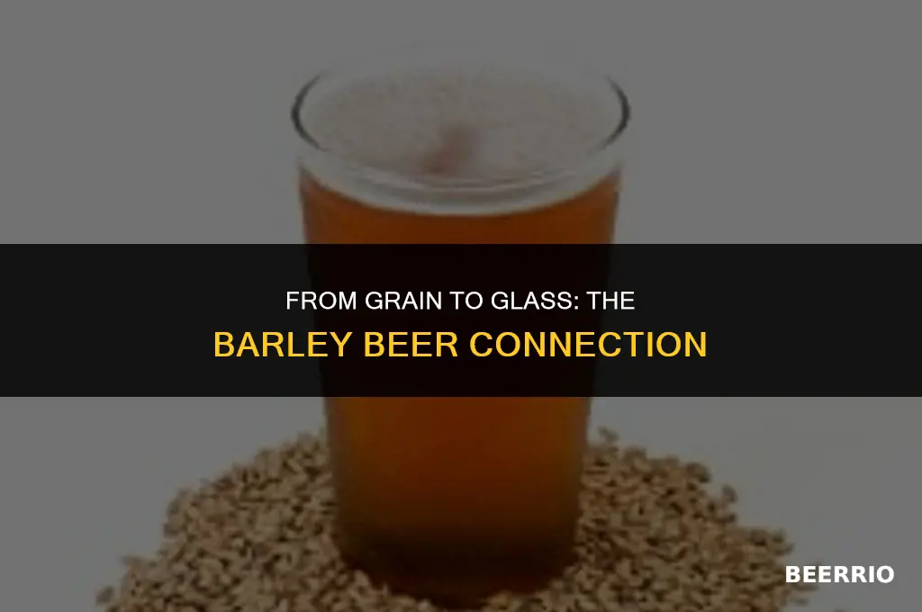 what beer is made with barley