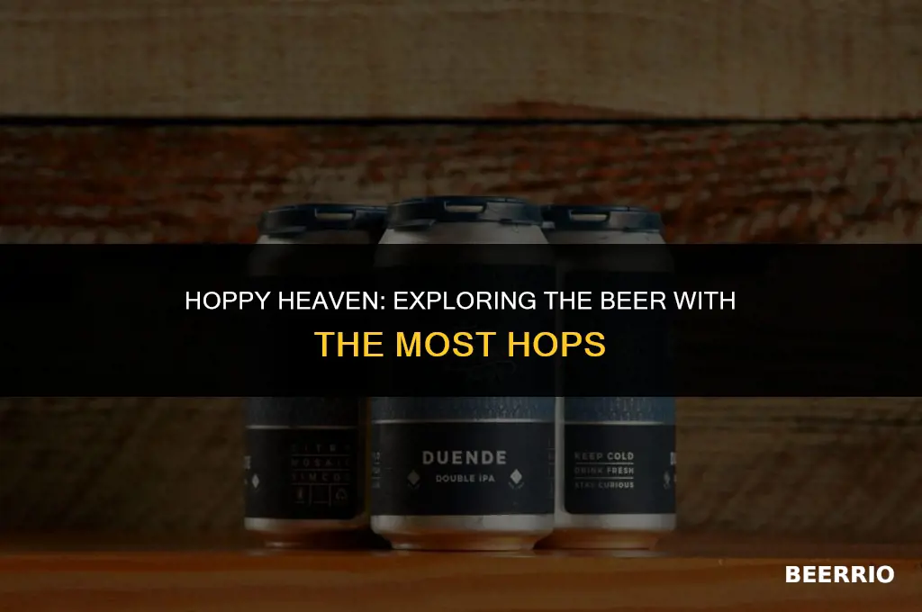 what beer is made with the most hops