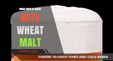 Exploring the Rich Flavors of Wheat Malt Beers: A Guide