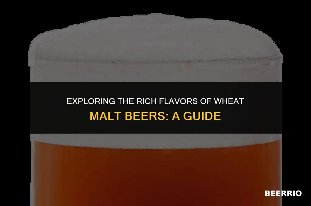 what beer is made with wheat malt
