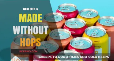 Exploring the Unique World of Hop-Free Beers: A Guide to Alternatives