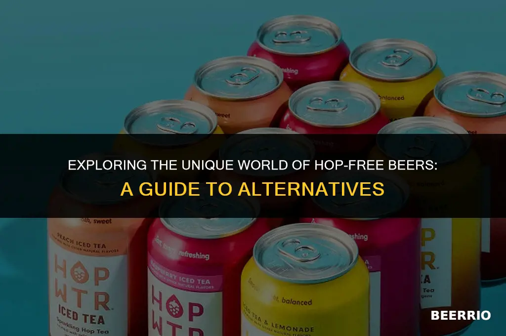 what beer is made without hops