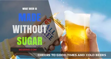 Exploring Sugar-Free Brews: A Guide to Low-Carb Beers