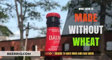 Exploring Gluten-Free Brews: What Beer is Made Without Wheat?