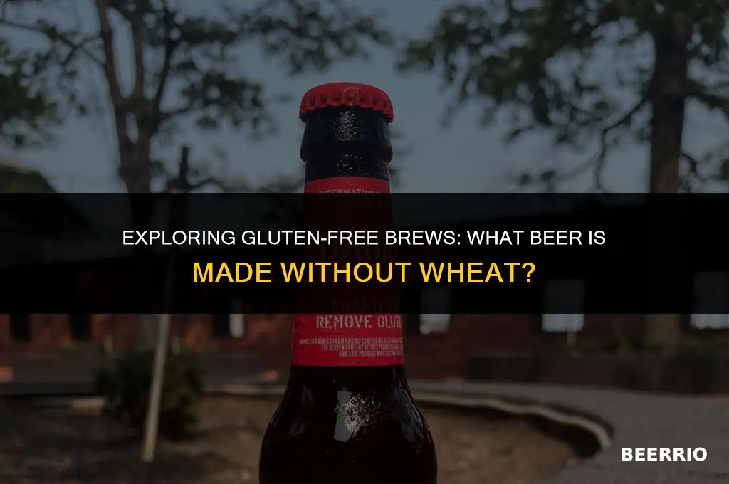 what beer is made without wheat